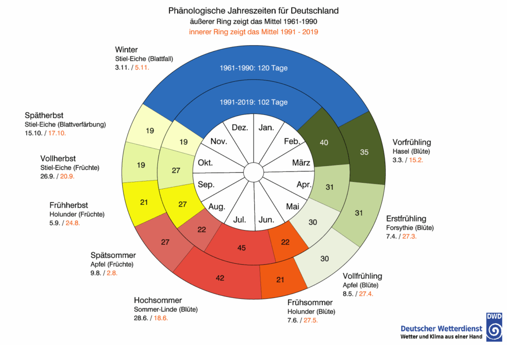 Kontrastreiche schematische Grafik in Form eines konzentrischen Ringschemas: Die Mitte zeigt Monatskürzel. Zwei farbige Ringe außen visualisieren phänologische Jahreszeiten für Deutschland im Zeitvergleich (äußerer Ring: Mittel 1961–1990, innerer Ring: Mittel 1991–2019); die Sektoren sind farbig nach Jahreszeiten abgestuft (Blau Winter, Grüntöne Frühling, Gelb bis Rot Sommer/Herbst). An den Seiten stehen Bezeichnungen der zehn Phasen mit typischer Indikatorpflanze und der jeweiligen Datumsspanne. Es ist zu erkennen, dass der Winter seit 1961 deutlich kürzer (120 vs. 102 Tage) geworden ist. Unten rechts befindet sich das Logo „Deutscher Wetterdienst“.